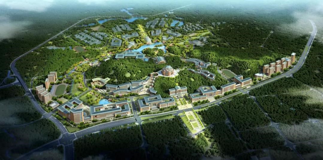 image-20240222164608-1