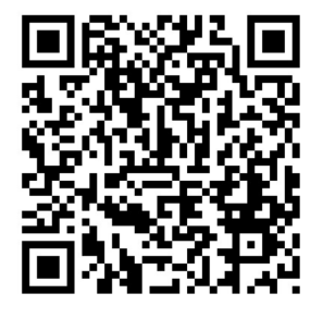 image-20240222173148-2